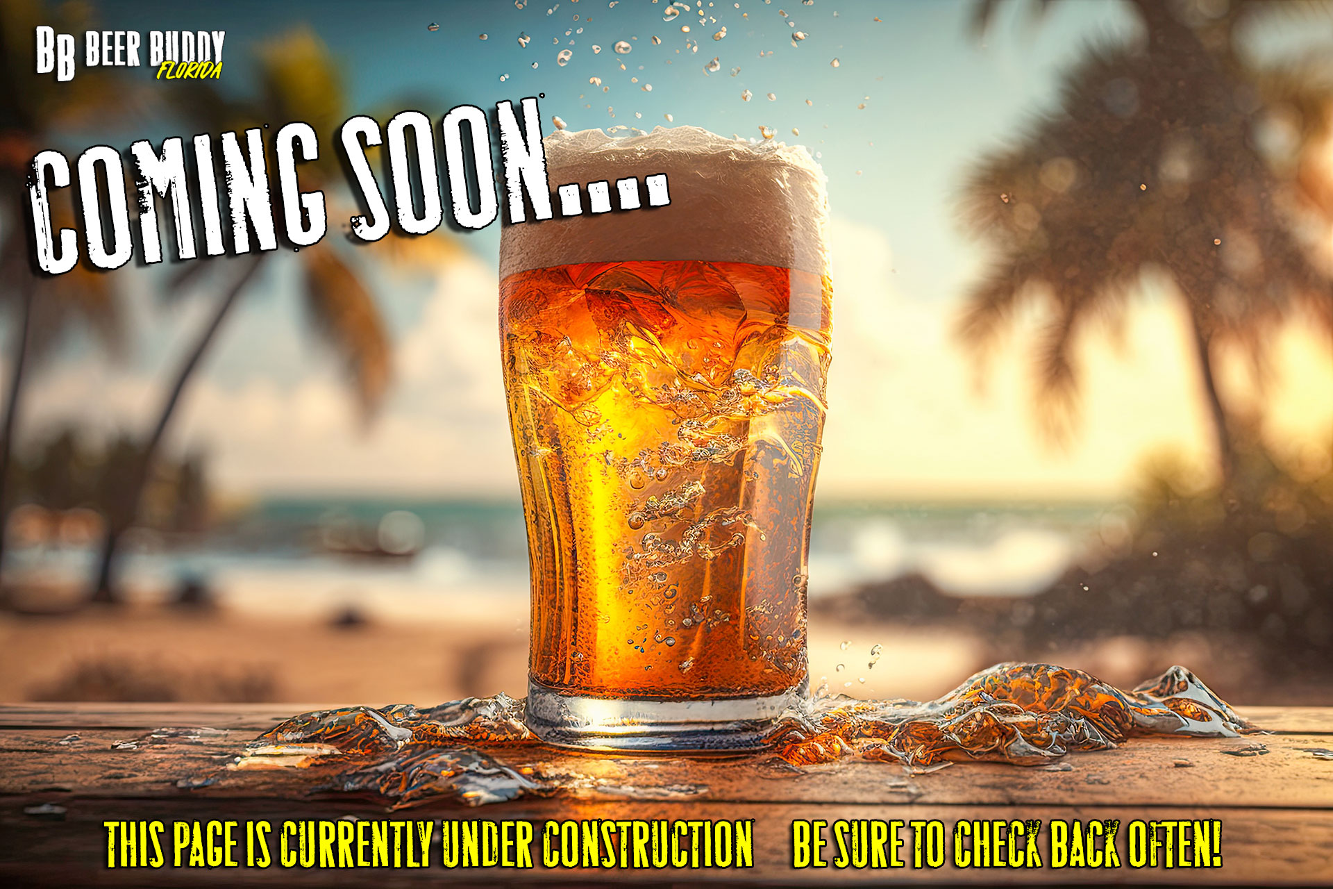 https://beerbuddyfl.com/img/coming-soon.jpg